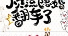 顶流隐婚翻车了