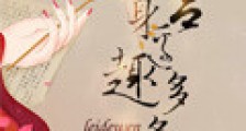 本宫身边趣多多