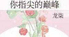 你指尖的巅峰