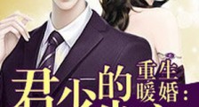 重生暖婚:君少的心尖宠