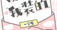 我爱你,我装的