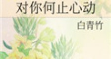 对你何止心动(作者:白青竹)