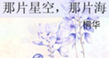 那片星空,那片海(网络版)