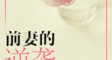 前妻的逆袭
