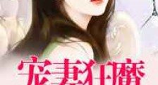 宠妻狂魔别太坏