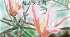 美杜莎之约