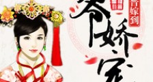 福晋嫁到:四爷娇宠