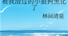 被我渣过的小狼狗黑化了