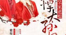 皇家逆媳,彪悍太孙妃