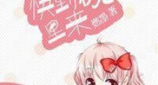 男神,快到碗里来