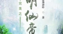 完美世界之光明仙帝