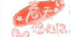 我总在春天想起你