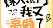 嫁入豪门后我又离婚了