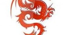 灵龙传奇