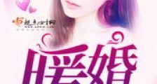 重来之暖婚