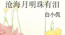 沧海月明珠有泪