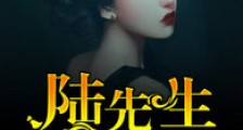 婚色几许:陆先生入戏太深