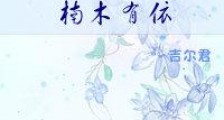 楠木有依