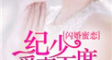 闪婚蜜恋:纪少爱妻无度