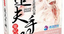 宠妃的追夫手册
