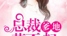 天价宝宝:总裁爹地惹不起