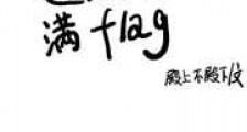 遍地插满flag