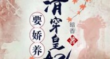 清穿皇妃要娇养