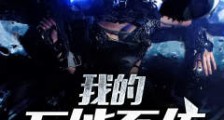 我的万能系统
