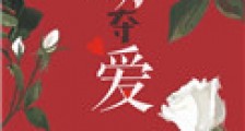 横刀夺爱(作者:傅渝)