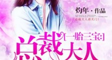 一胎三宝:总裁大人请关门!