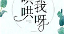 哄哄我呀