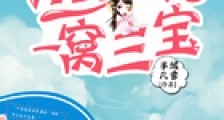 刁蛮宠妃一窝三宝