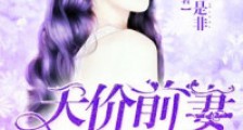 天价前妻不二嫁