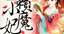 无赖小魔妃
