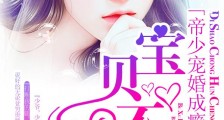 帝少宠婚成瘾:宝贝,不许撩