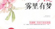 今夜雾里有梦