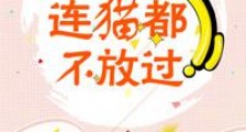 我就是连猫都不放过