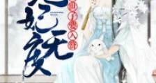 宠妃无度:小姐,世子要入赘