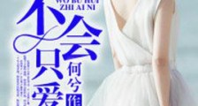 我不会只爱你