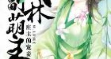 武林副萌主:庄主的宠妾