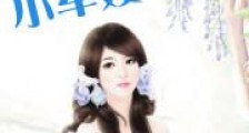 六零小军嫂