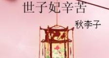 世子妃辛苦