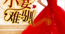 婚后斗爱之小妻难驯