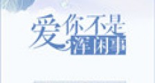 爱你不是浑闲事