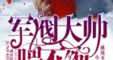 甜妻缠绵:军阀大帅,有点坏