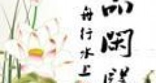 极品闲医