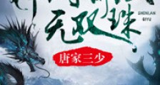 神澜奇域无双珠