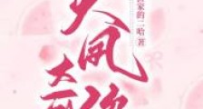 天凤奇缘