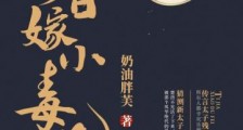 暴君的替嫁小毒妃