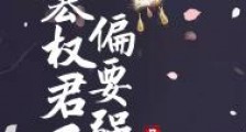 篡权君王偏要强求